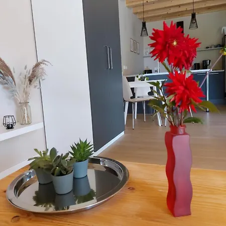 Apartment Gartenlodge Im Gruenen *